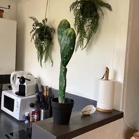 Avec Grande Terrasse Et Jardin Privatif Au Pyla * La Teste-de-Buch